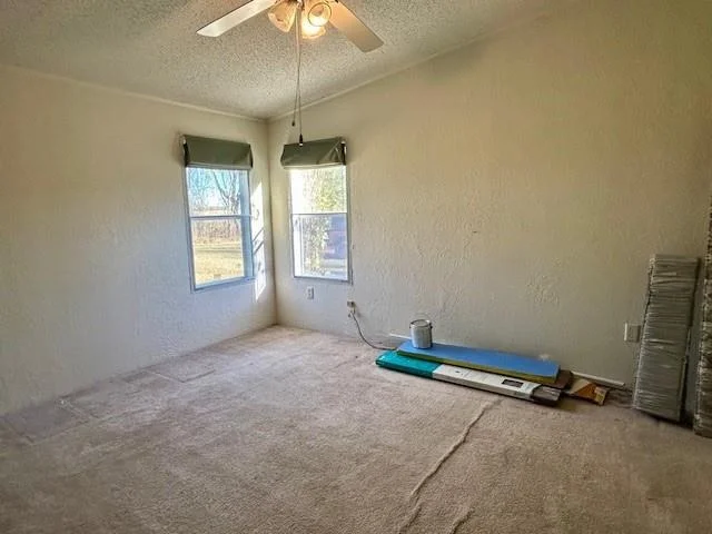 Photo of 385 County Road 161