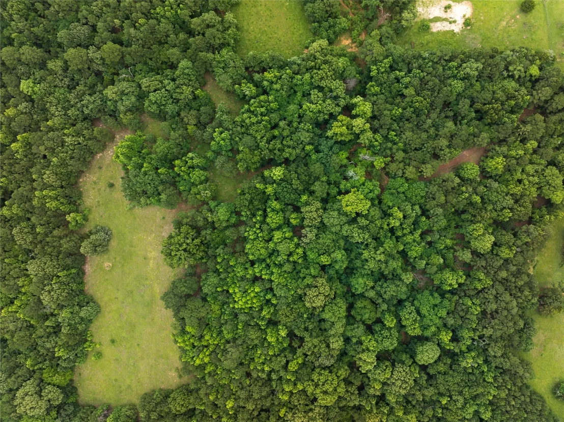 Photo of 519 An County Road 450