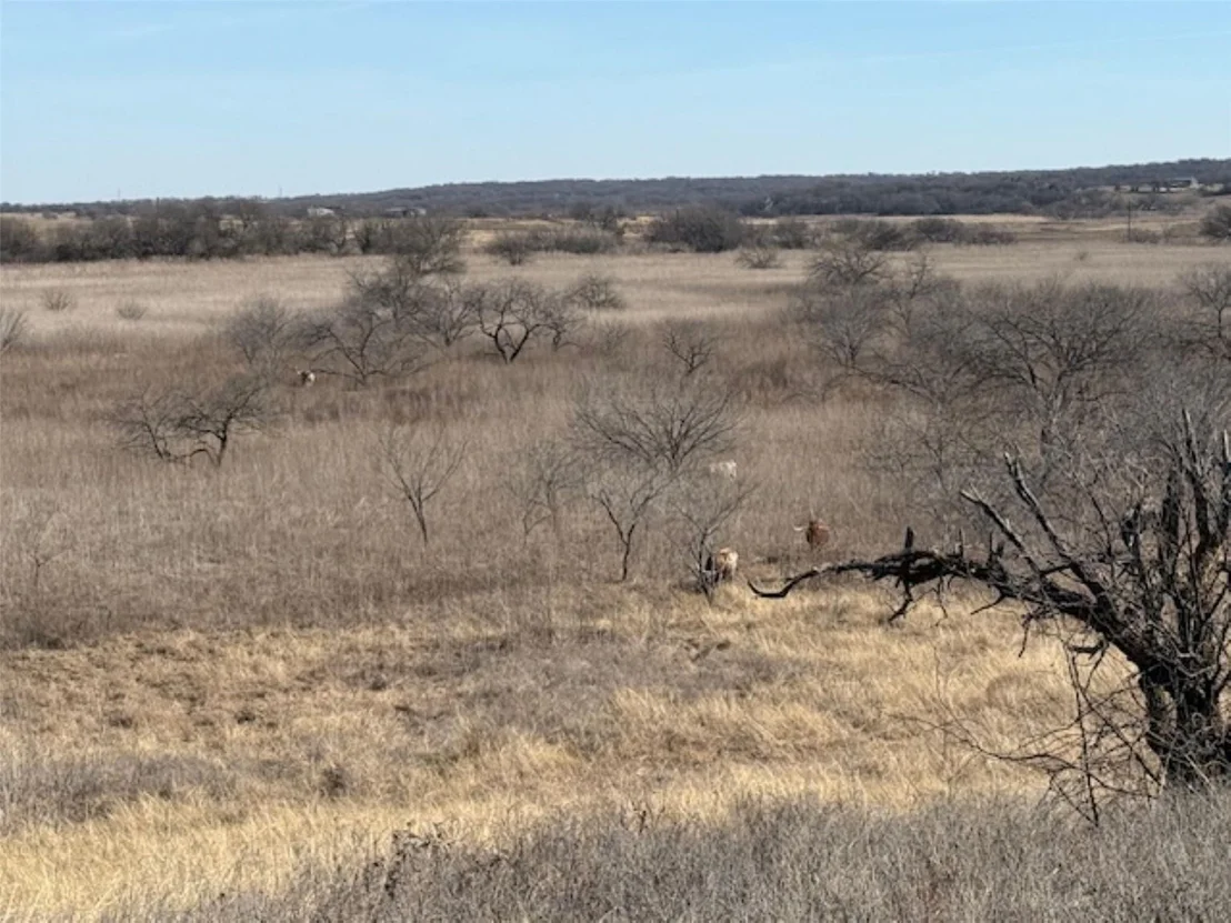 Photo of 363 County Road 4403
