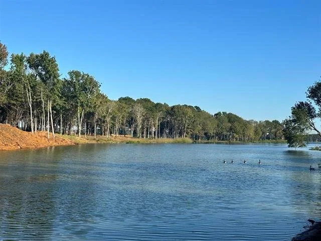 Photo of Lot 43 Oak River