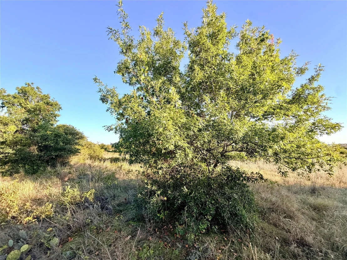 Photo of 37 Pr 224