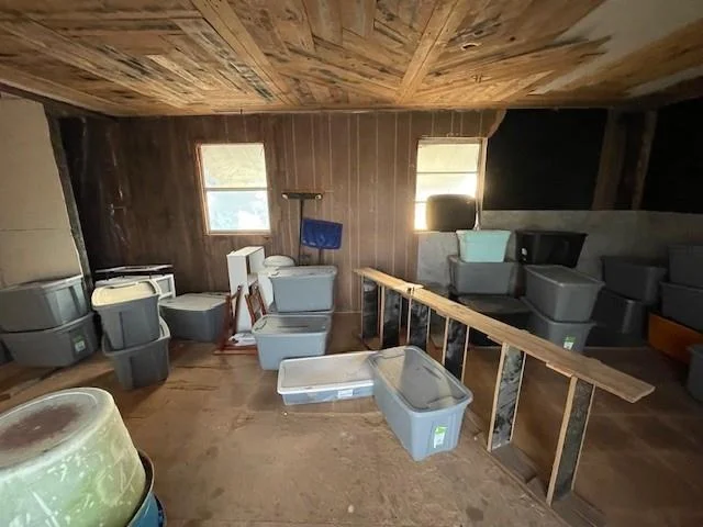 Photo of 240 County Road 4847