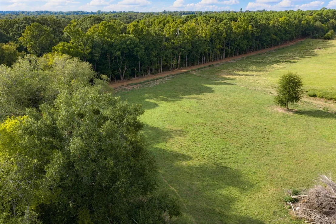 Photo of 3219 County Road 1508