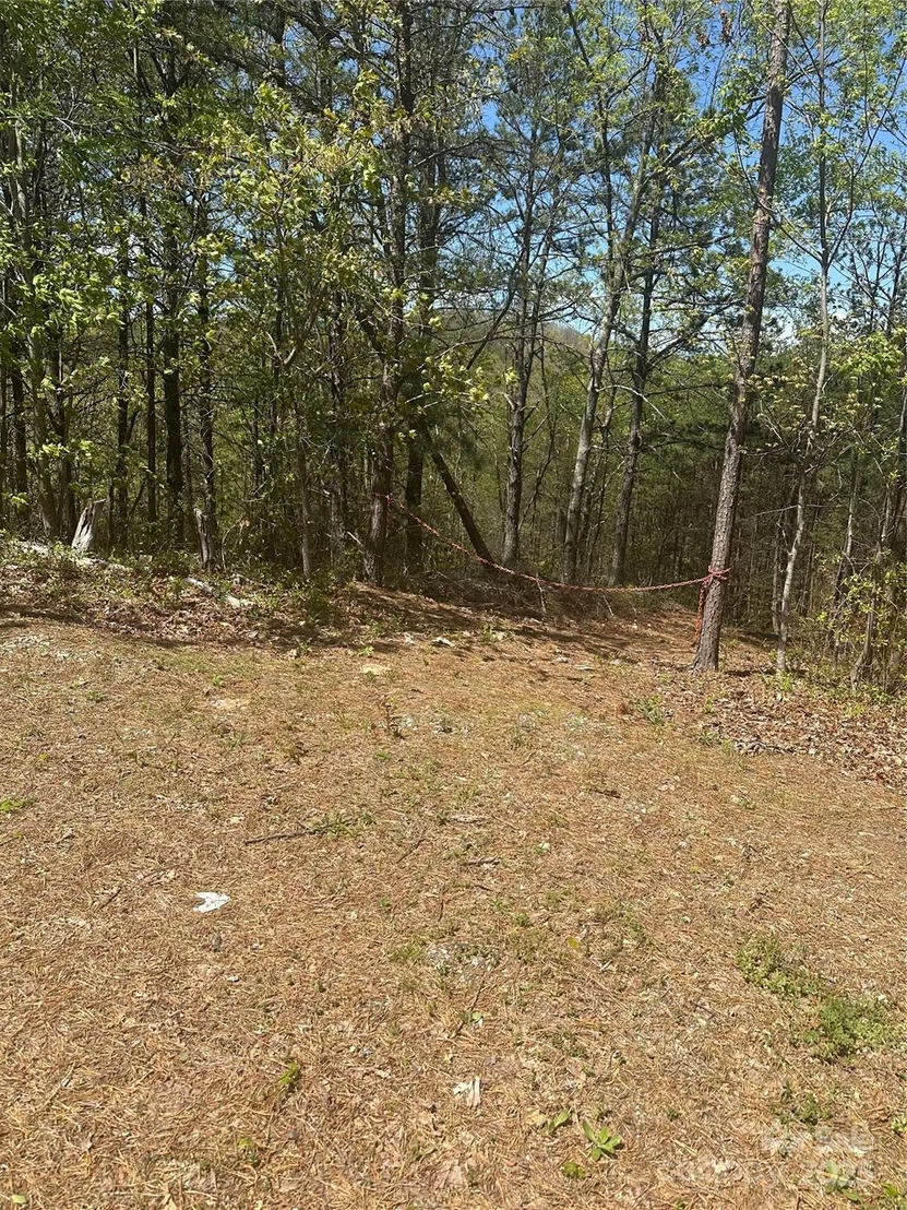 Photo of 4027 Skyline Drive