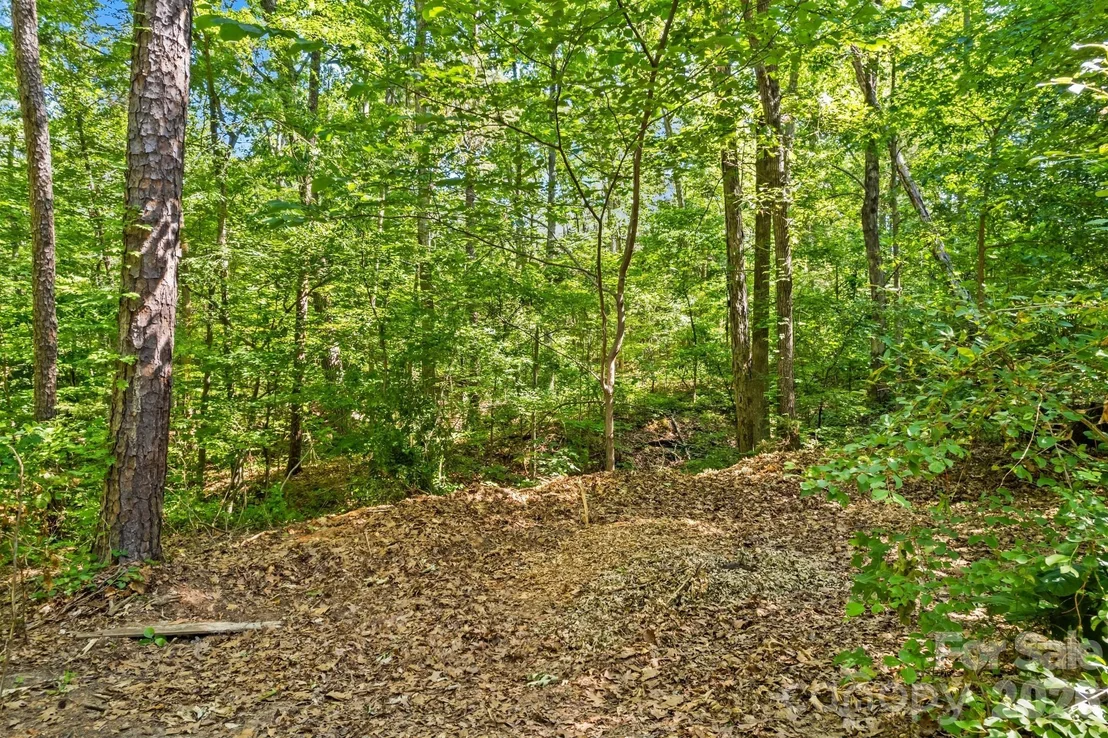 Photo of 4455 Moose Road