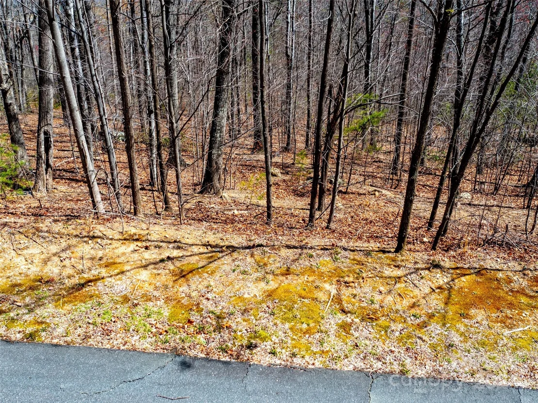 Photo of 2101 Harm Creek Loop