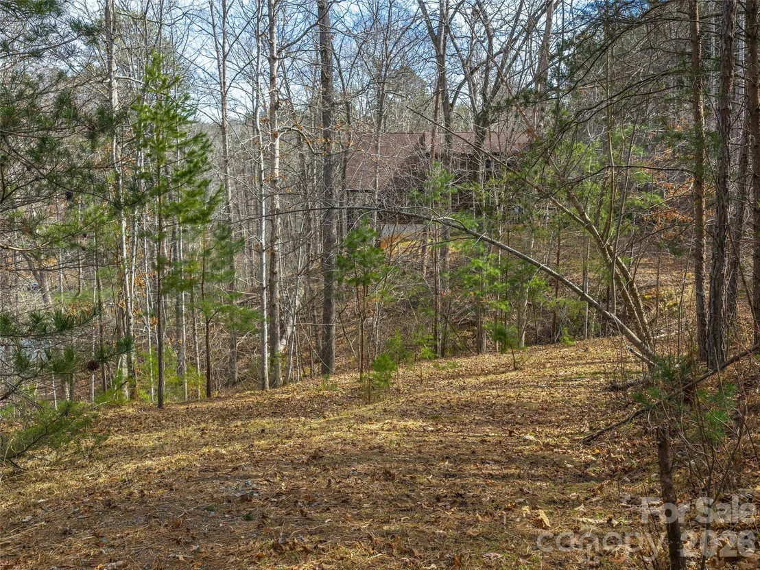 Photo of Lots 22 & 23 Lake Adger Parkway