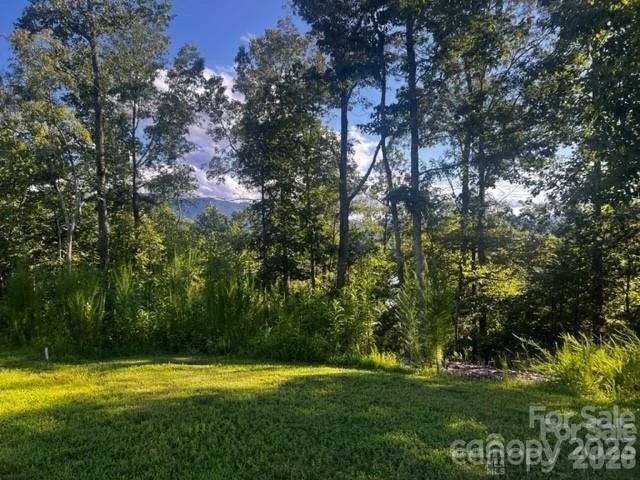 Photo of 23 Mountain Parkway
