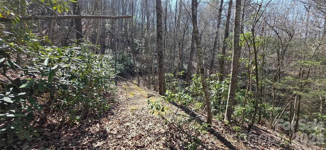 Photo of 000 Nettle Knob Road