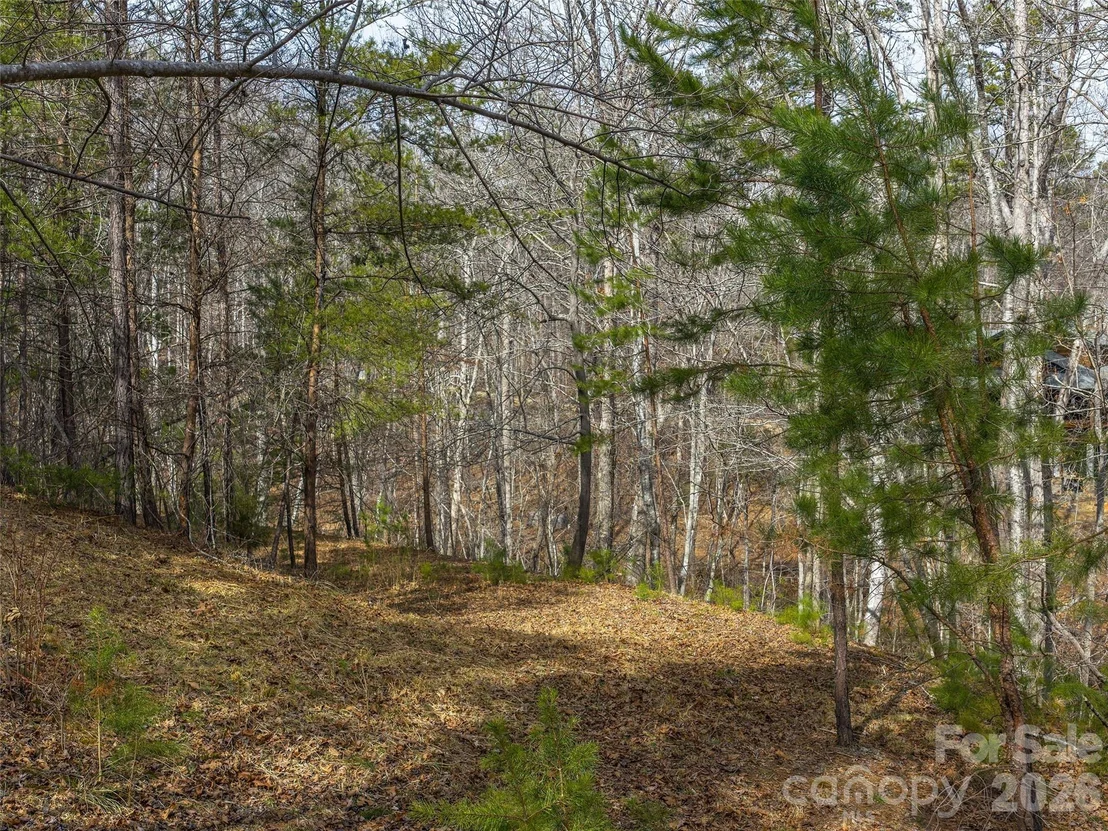 Photo of Lots 22 & 23 Lake Adger Parkway