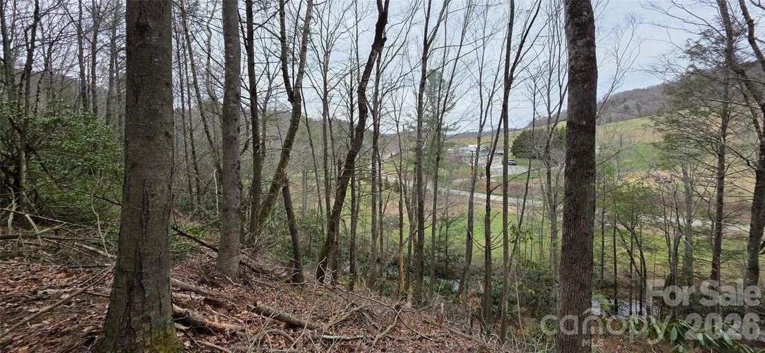Photo of 000 Nettle Knob Road
