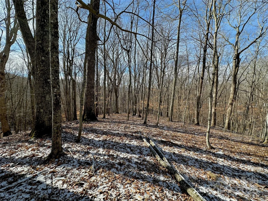 Photo of 149 Painter Road