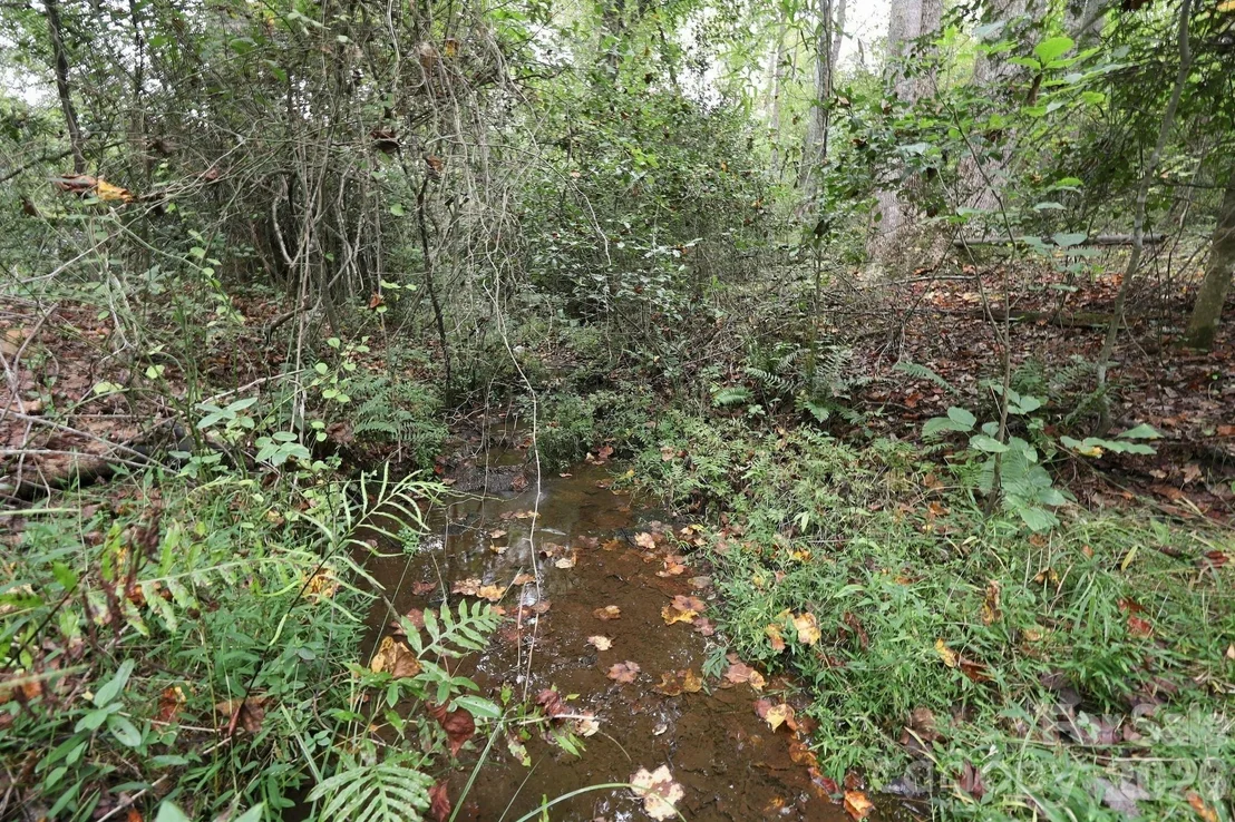 Photo of 250 Circus Trail