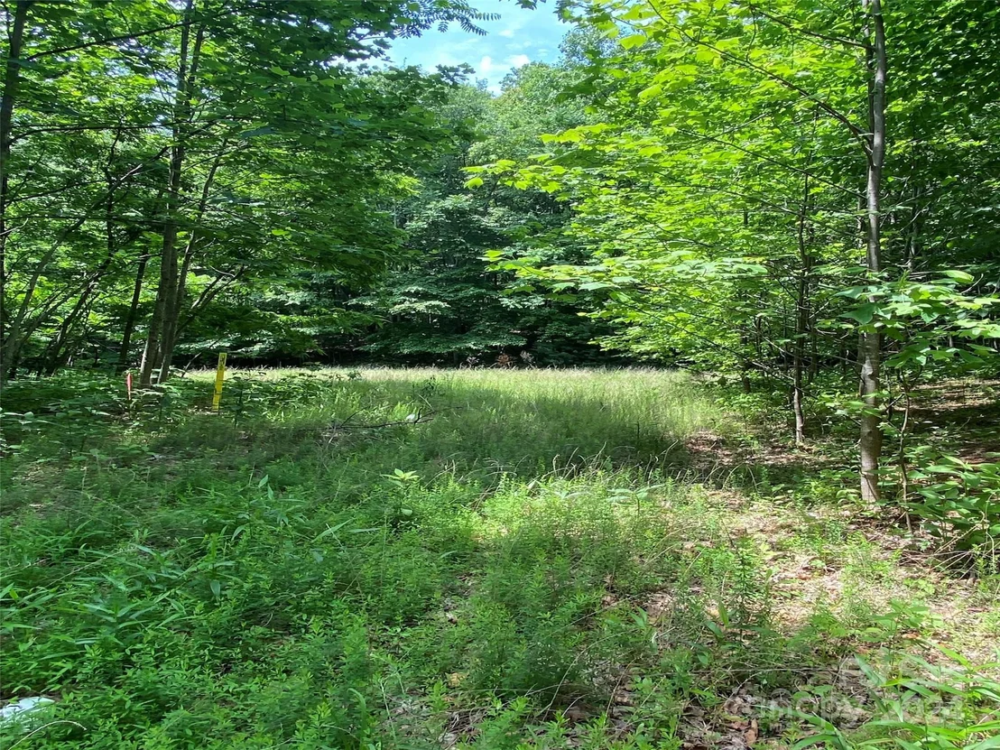 Photo of 199 Cherry Hill None