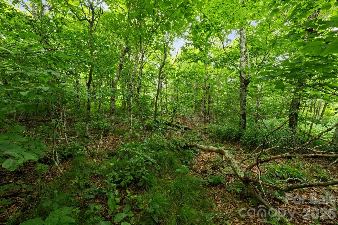 Photo of Unit 96 at Lot 96 Cloud Spring Drive