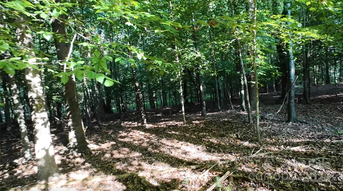 Photo of 3943 Walker Road