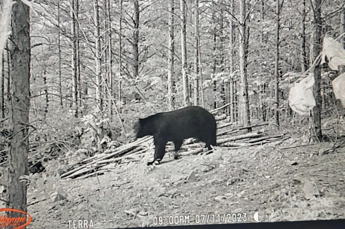 Photo of 4027 Skyline Drive
