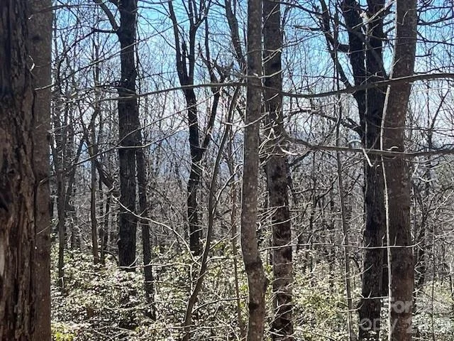Photo of Lot 79 Arrowhead Trail