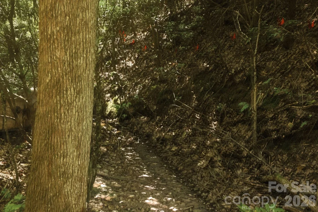 Photo of 464 Mason Road