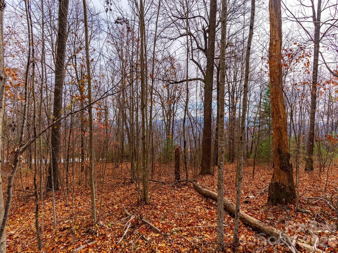 Photo of Lot 253 Haddington Drive