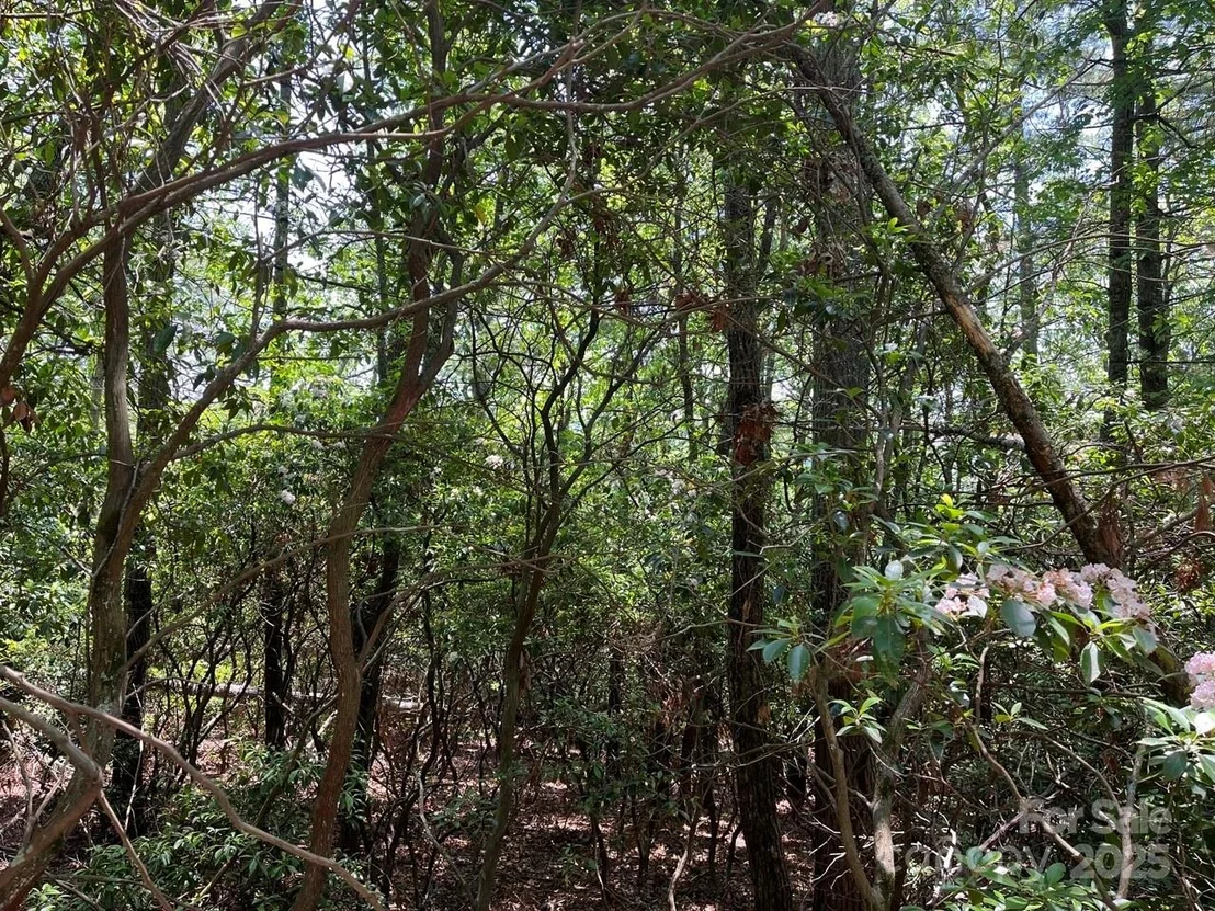 Photo of 0000 Humpback Mountain Road