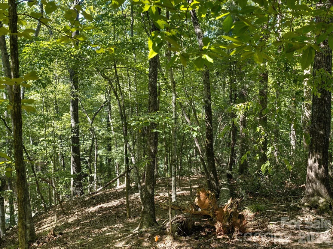 Photo of Lot #13 South Cove Road