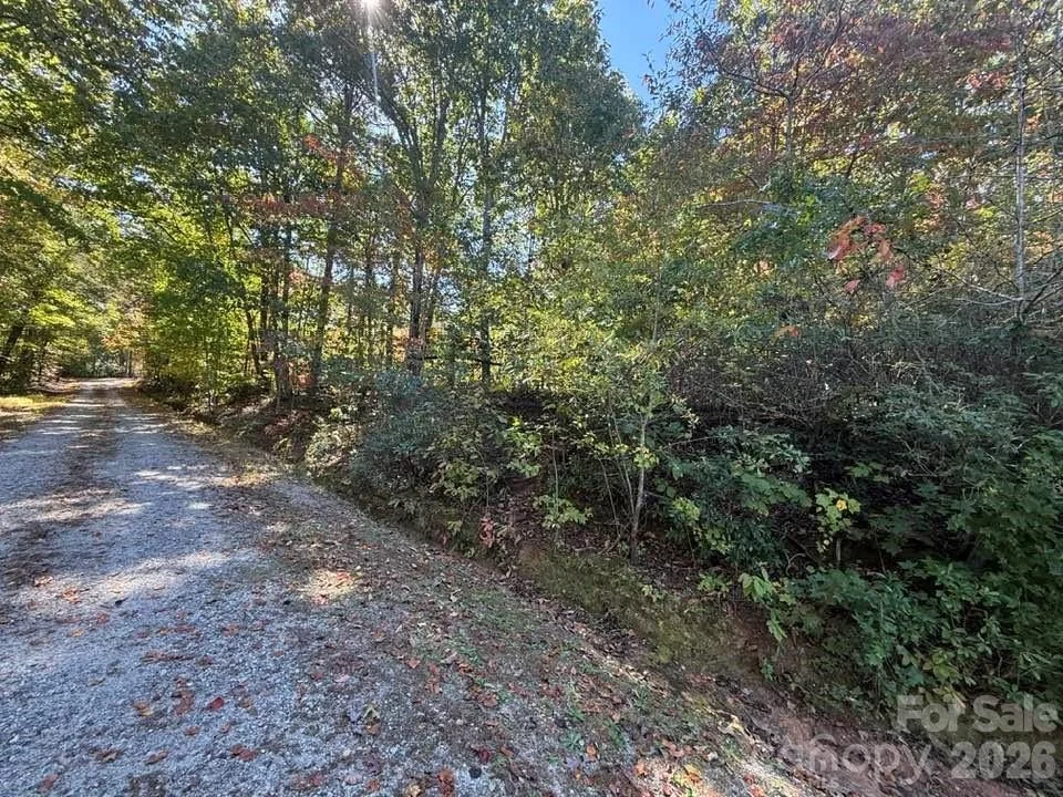 Photo of 160 Caledonia Road