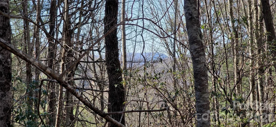 Photo of 000 Nettle Knob Road