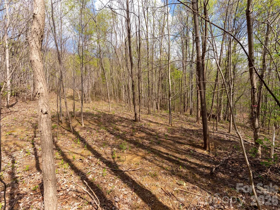 Photo of Unit 196 at Lot 196 Cherry Hill