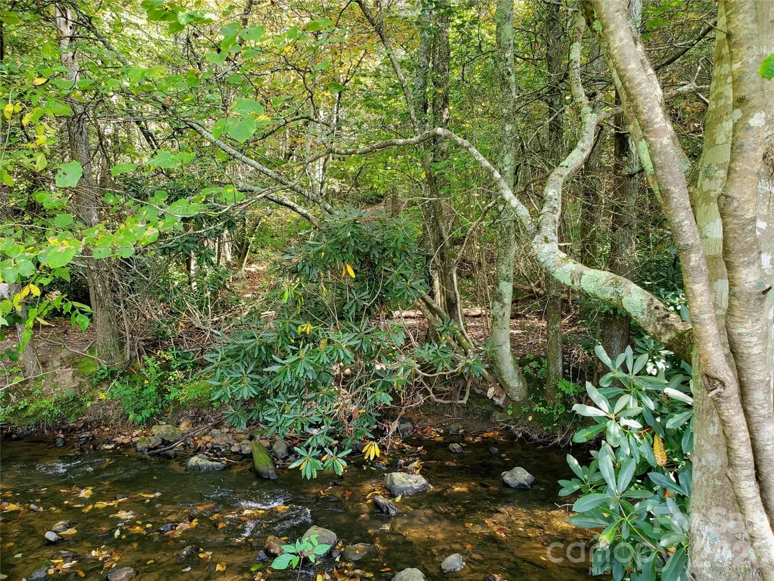 Photo of 000 Nettle Knob Road