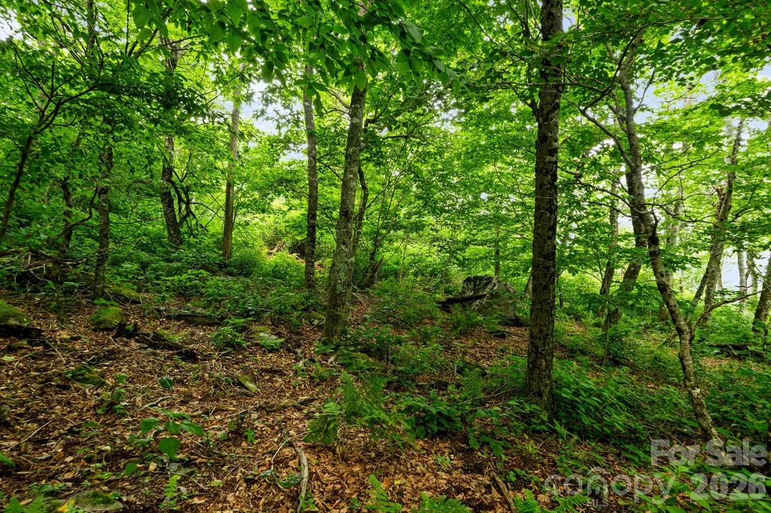 Photo of Unit 96 at Lot 96 Cloud Spring Drive