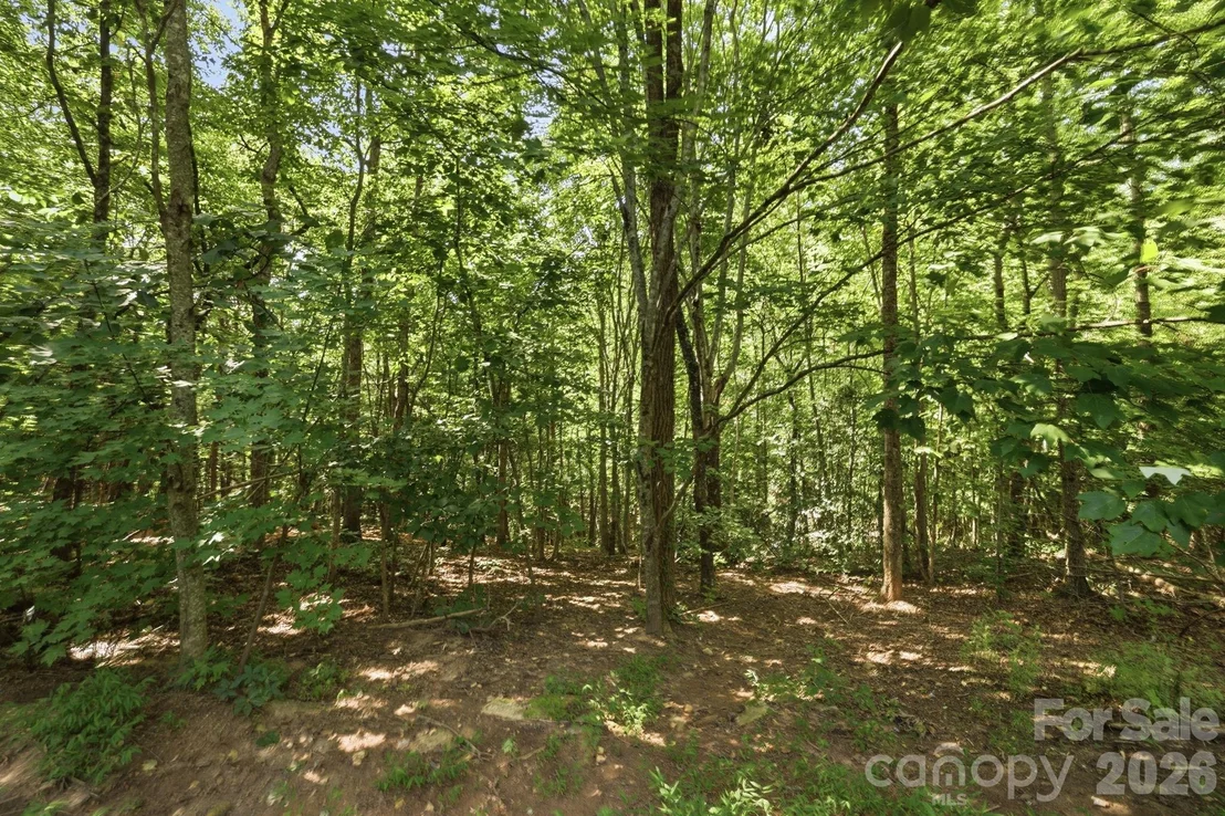 Photo of 464 Mason Road