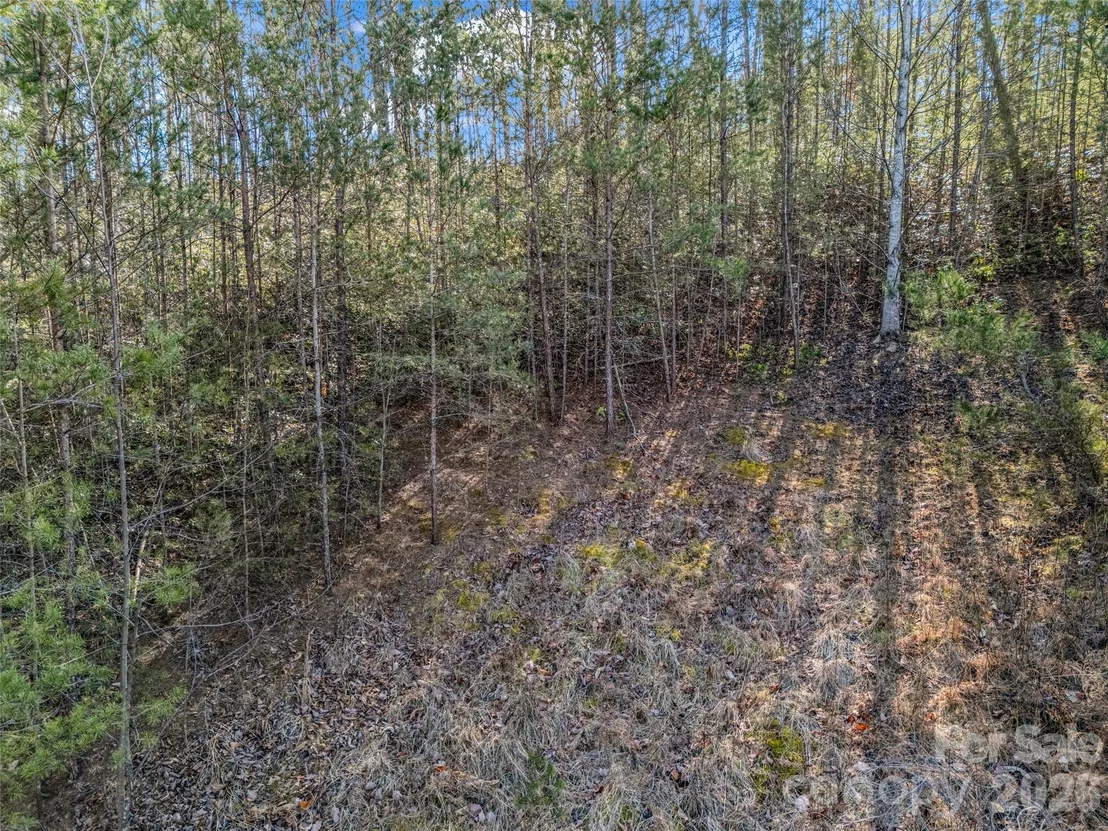 Photo of 2002 Deep Gap Farm Road E