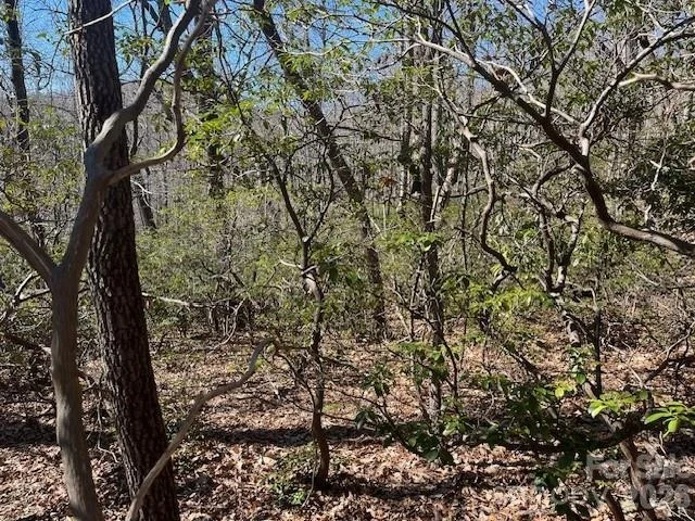Photo of Lot 79 Arrowhead Trail