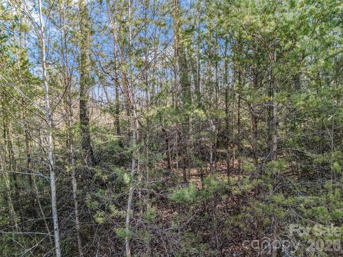Photo of 2002 Deep Gap Farm Road E