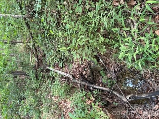 Photo of 00 Cardinal Circle