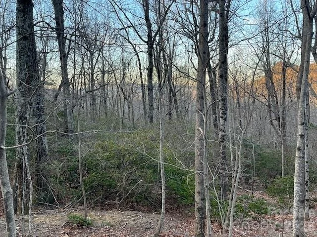 Photo of Lot 79 Arrowhead Trail