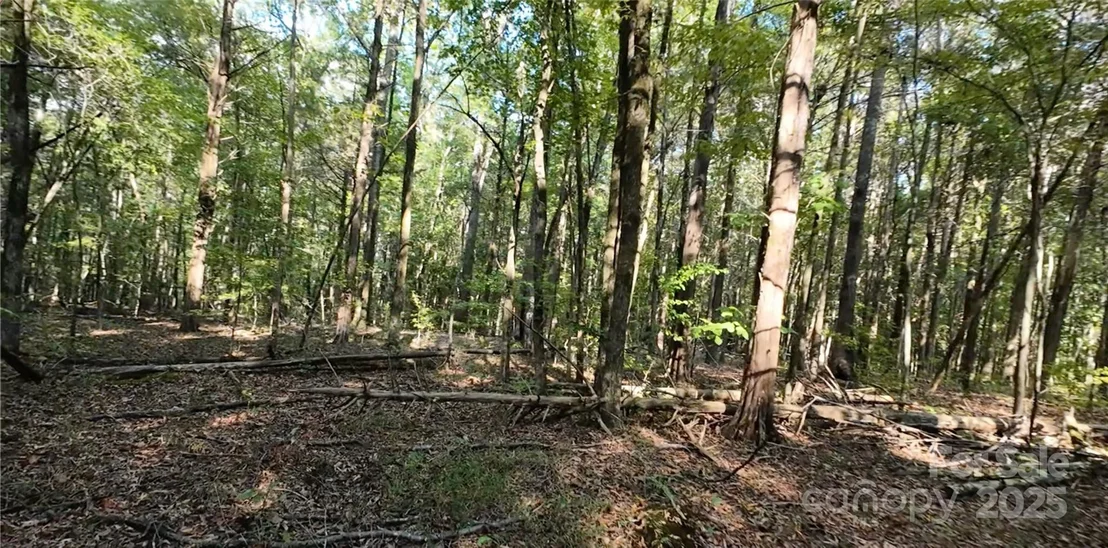 Photo of 3943 Walker Road