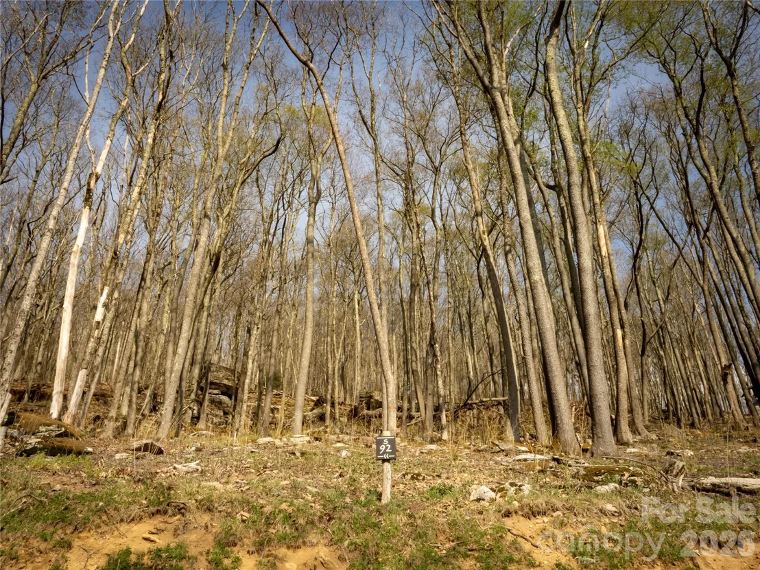 Photo of S-92 Talon Trail