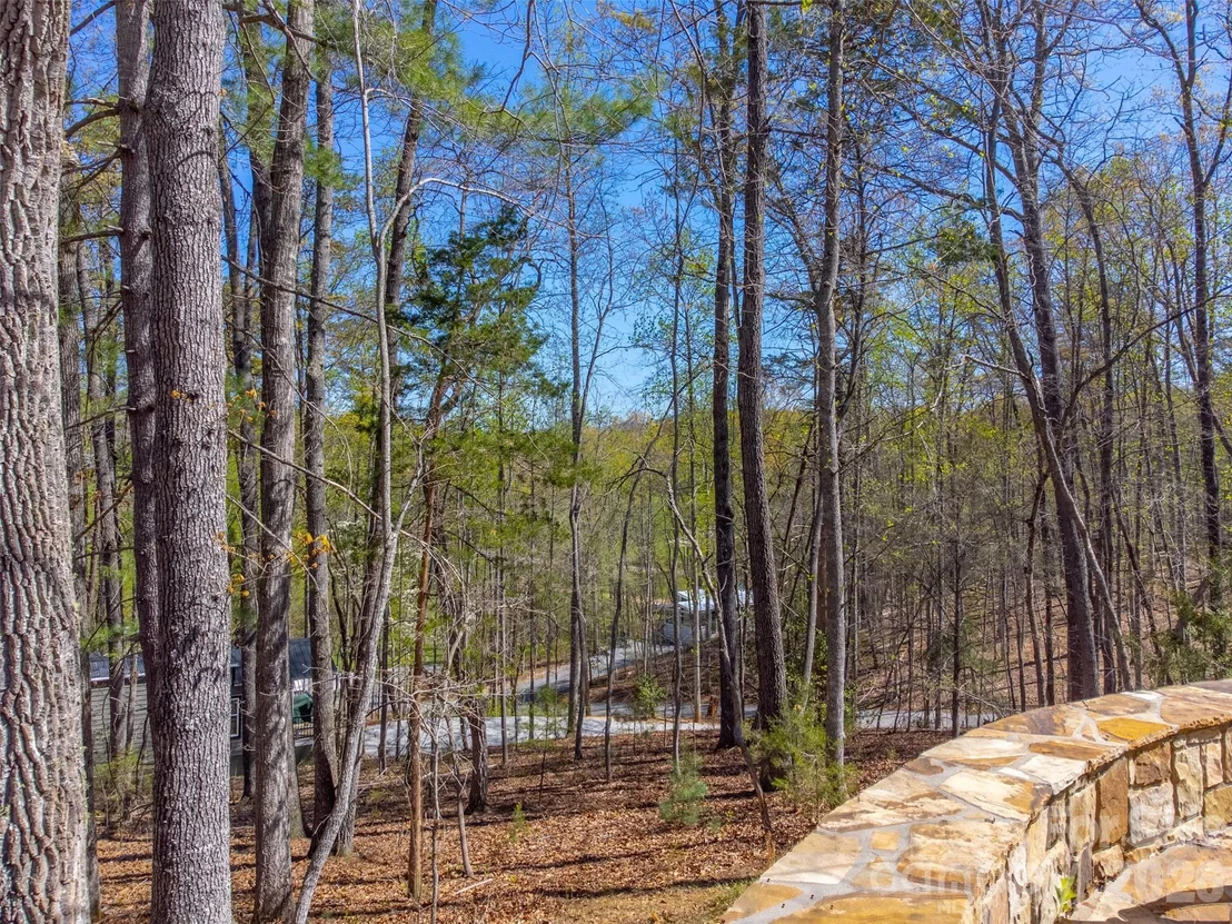 Photo of 163 Simplicity Woods Drive