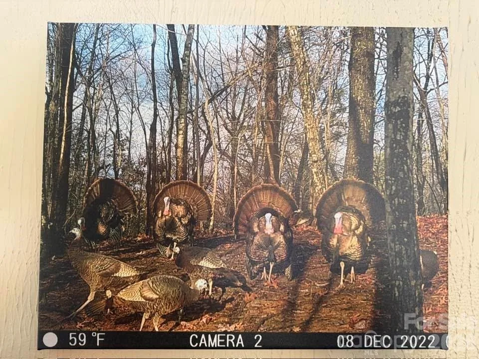 Photo of 600 Piney Gate Road