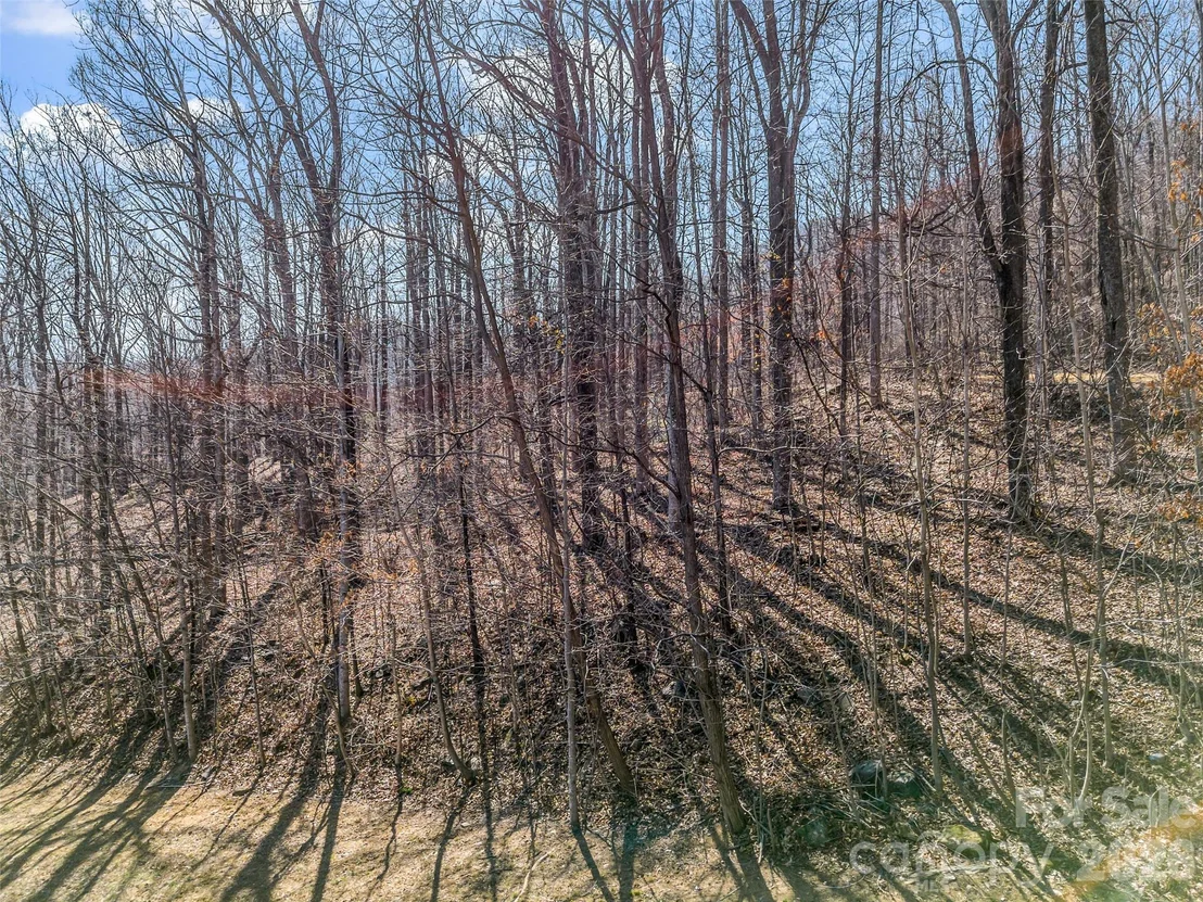 Photo of 190 Cherry Hill None