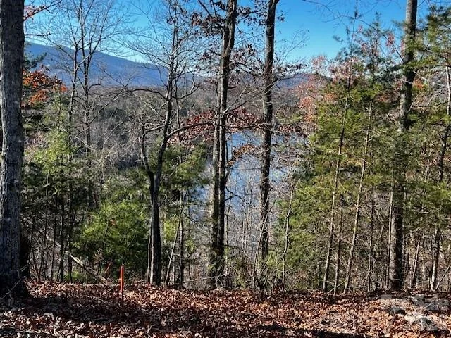 Photo of 23 Mountain Parkway