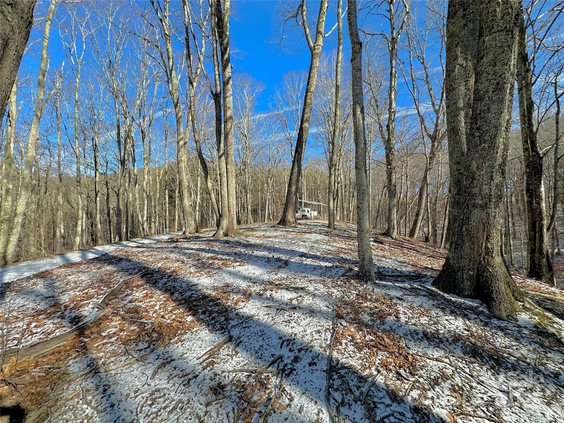 Photo of 149 Painter Road
