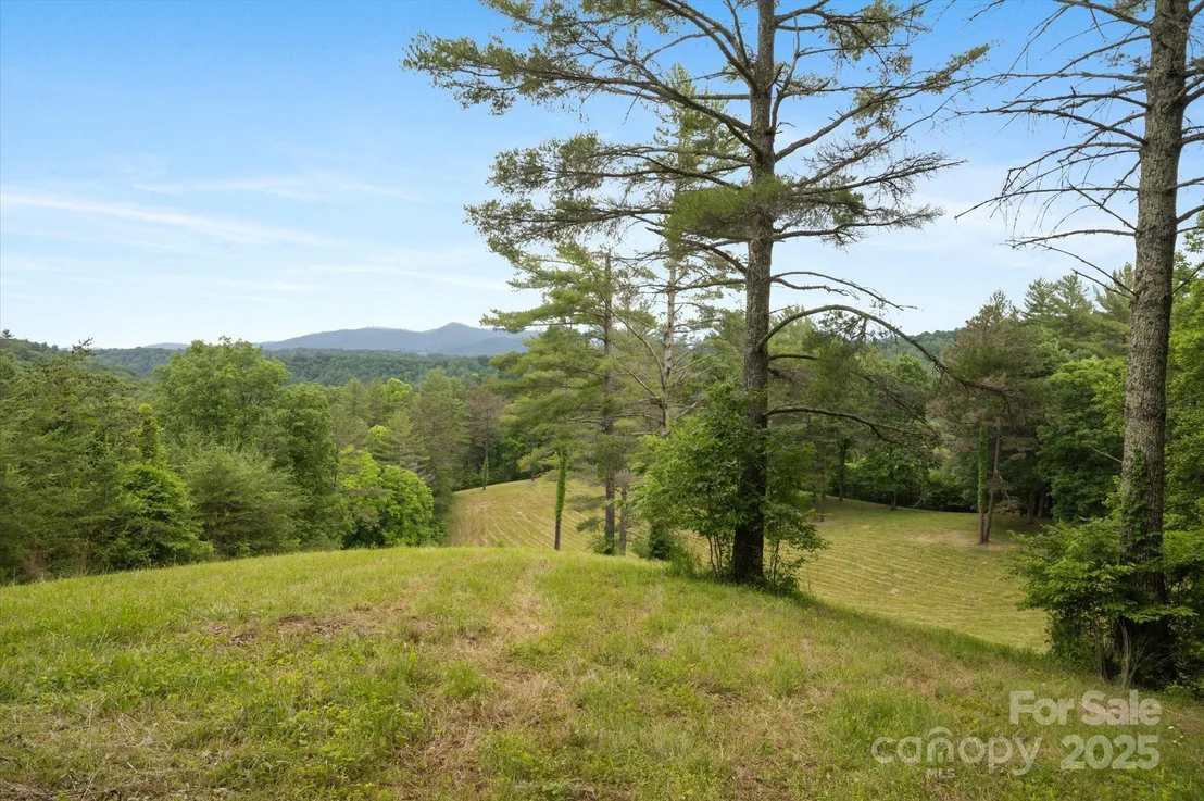 Photo of 942 Paint Fork Road