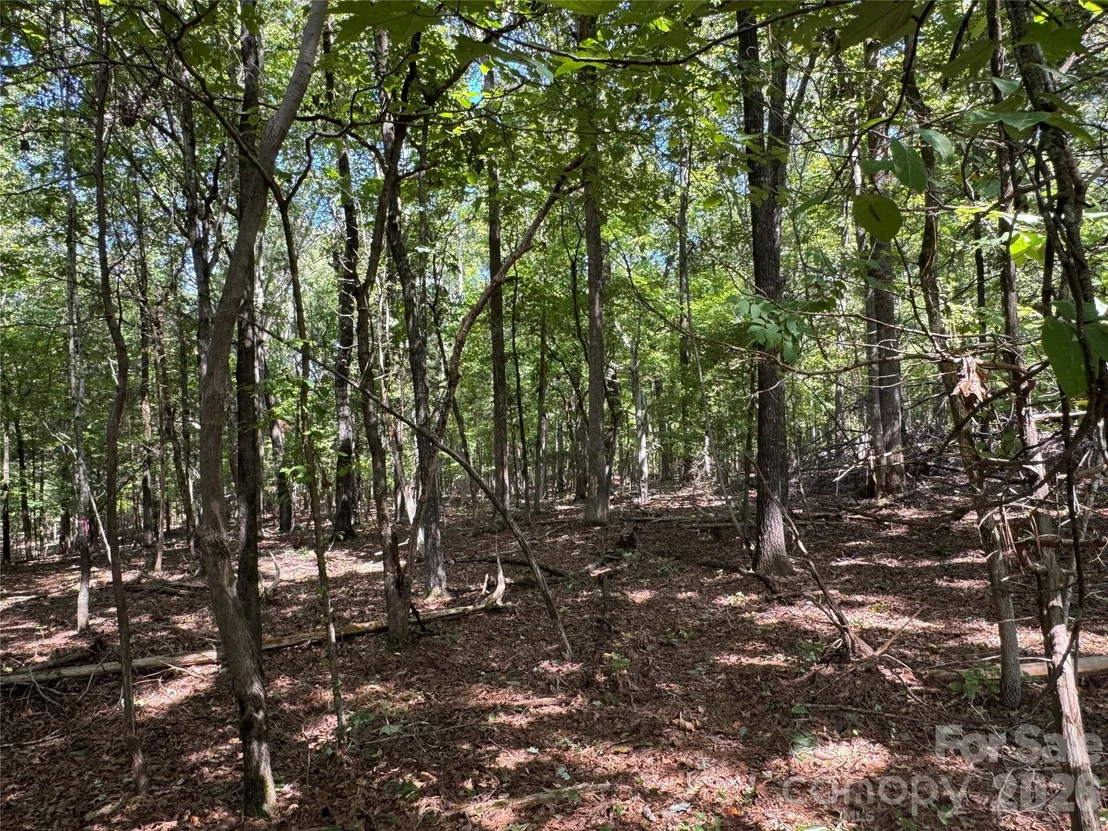 Photo of 2344 Rockholt Drive