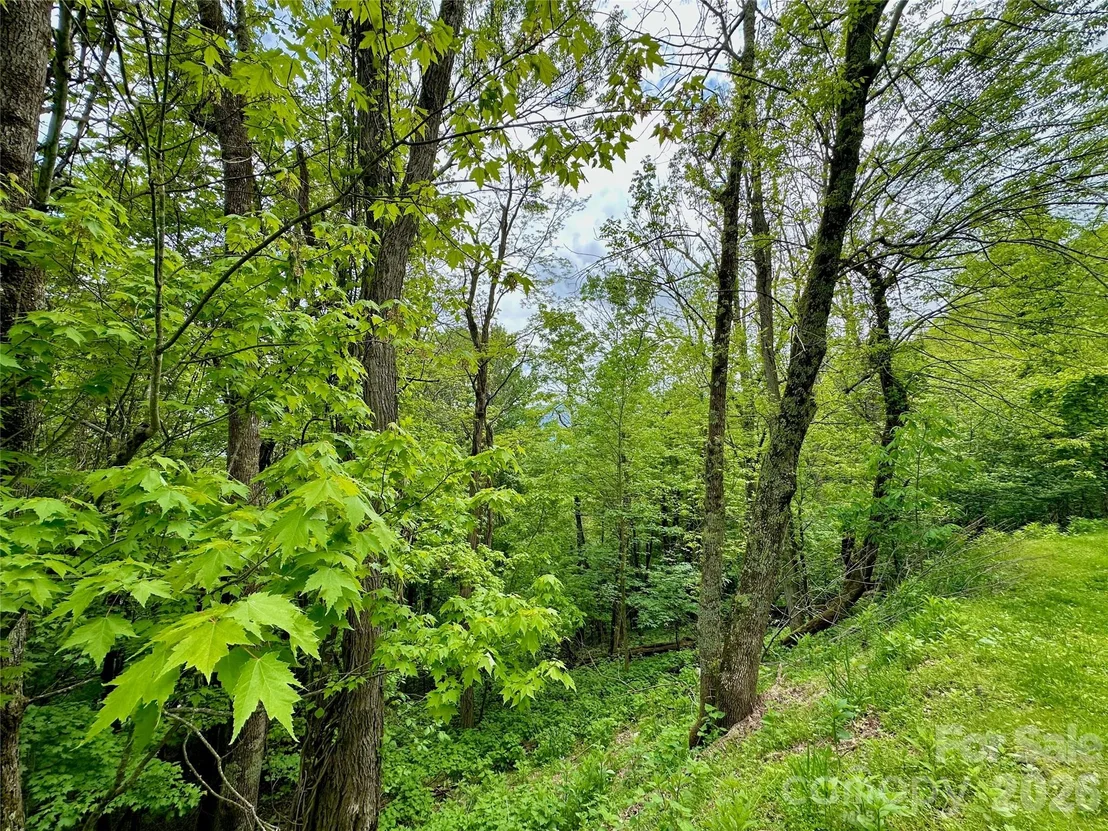 Photo of TBD Alpine Drive
