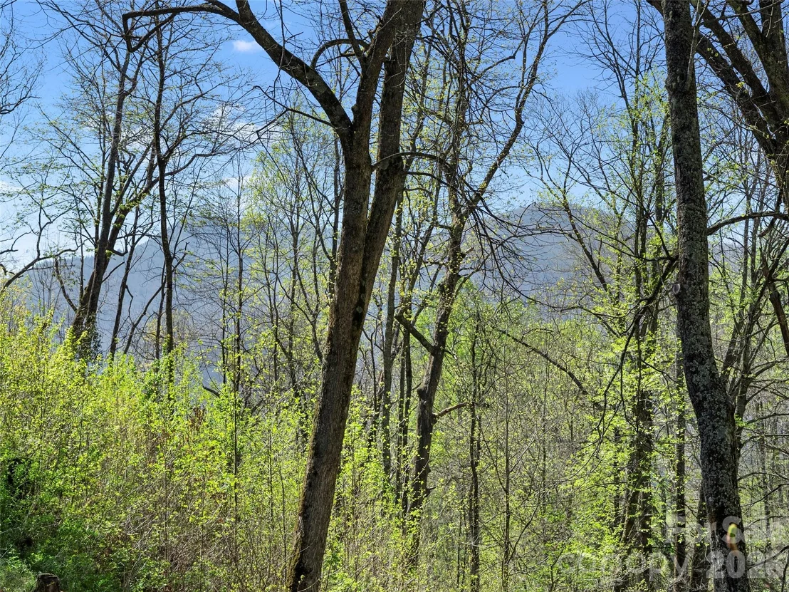 Photo of 79 Ward Road