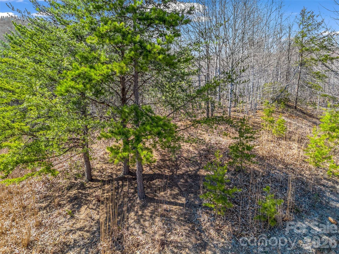 Photo of 190 Cherry Hill None