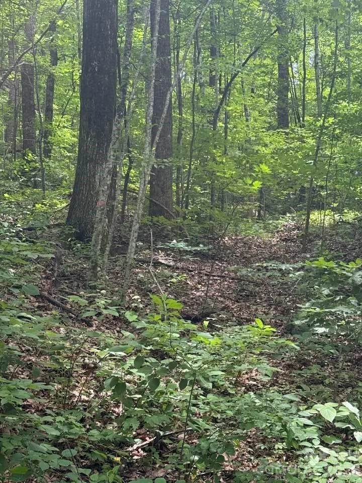 Photo of Unit 343 at 000 Summit Road